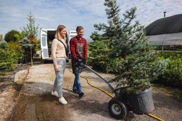 Best Stump Grinding Near Me  in USA